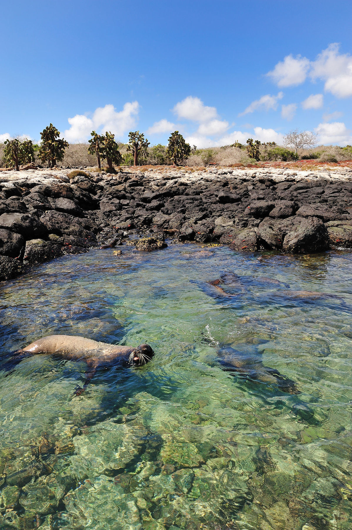 Pikaia Lodge Santa Cruz Island Экстерьер фото