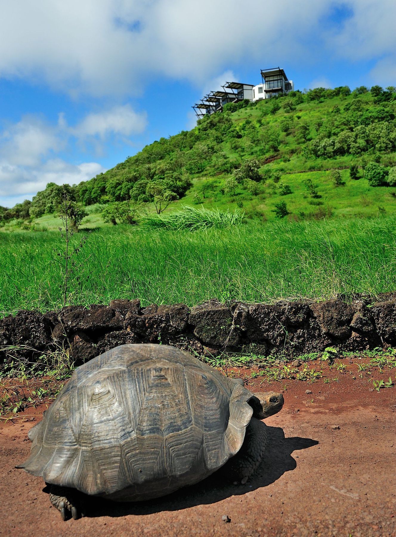 Pikaia Lodge Santa Cruz Island Экстерьер фото